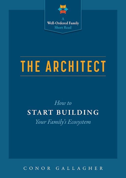 The Architect Book Cover Image